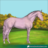 Horse Color:Watercolor Smoky Creme 