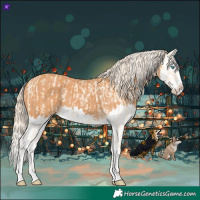 Horse Color:Cremello Splash  and Gray Cremello Splash 