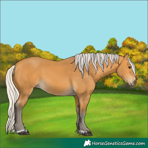 Horse Color:Silver Buckskin 