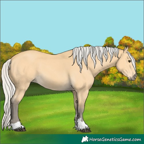 Horse Color:Silver Buckskin 