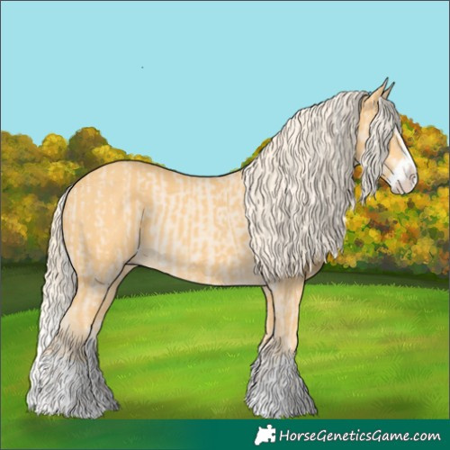 Horse Color:Cremello Splash  and Palomino Splash 