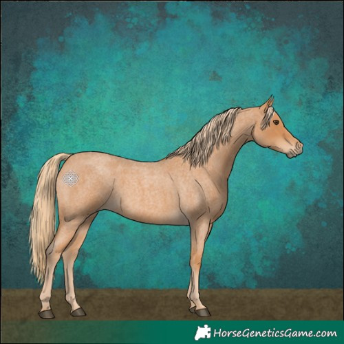 Horse Color:Red Roan 