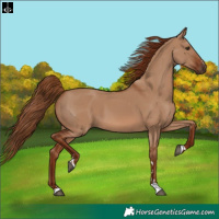 Horse Color:Red Dun 