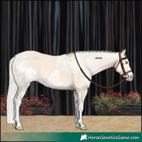 Horse Color:Cremello Splash  and Cremello Splash Blanket 
