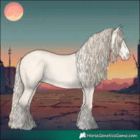 Horse Color:Cremello Dun Splash  and Perlino Dun Splash 