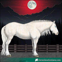 Horse Color:Cremello Splash and Cremello Roan Splash