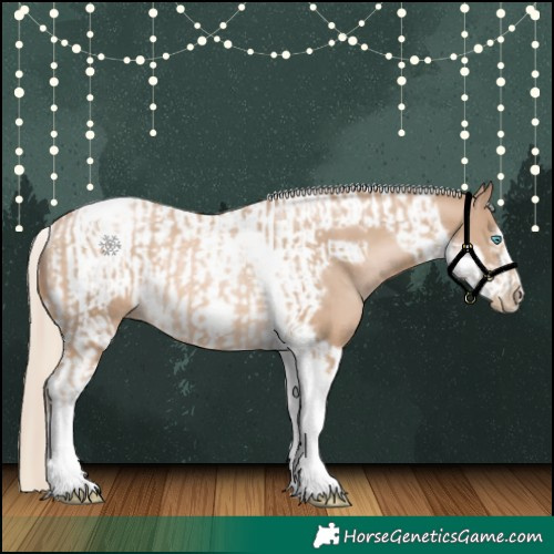 Horse Color:Chocolate Palomino Pearl Tobiano Frame and Chocolate Palomino Pearl Tobiano Frame