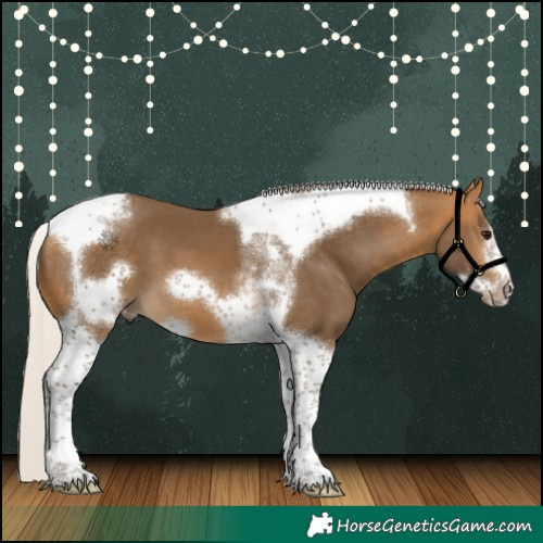 Horse Color:Silver Buckskin Tobiano Frame 