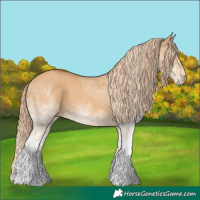Horse Color:White Spotted Red Dun 