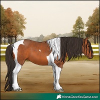 Horse Color:Bay Tobiano
