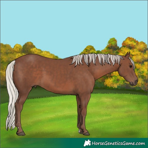 Horse Color:Silver Black 