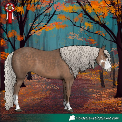 Horse Color:Silver Black Sabino 