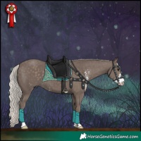 Horse Color:Silver Black Sabino