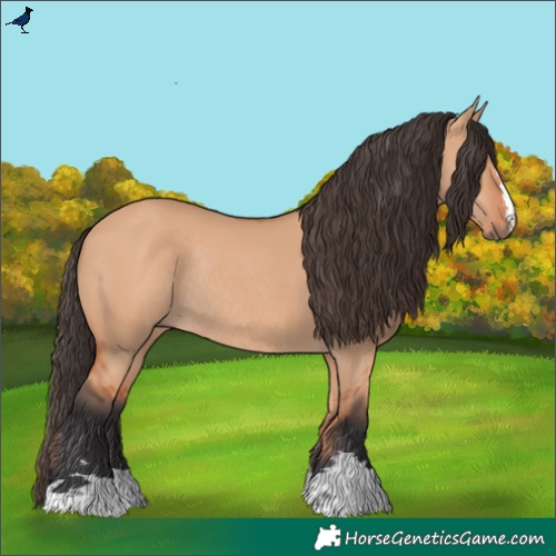 Horse Color:Bay Dun Rabicano 