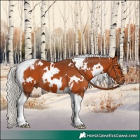 Horse Color:White Spotted Silver Bay Tobiano 