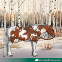 Horse Color:White Spotted Silver Bay Tobiano 
