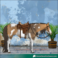 Horse Color:Buckskin Tobiano Frame 