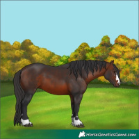 Horse Color:Brown 