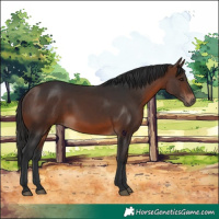 Horse Color:Brown 