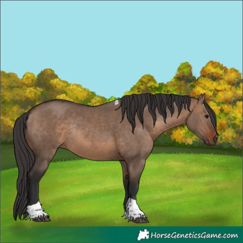 Horse Color:Brown Dun Tobiano Rabicano