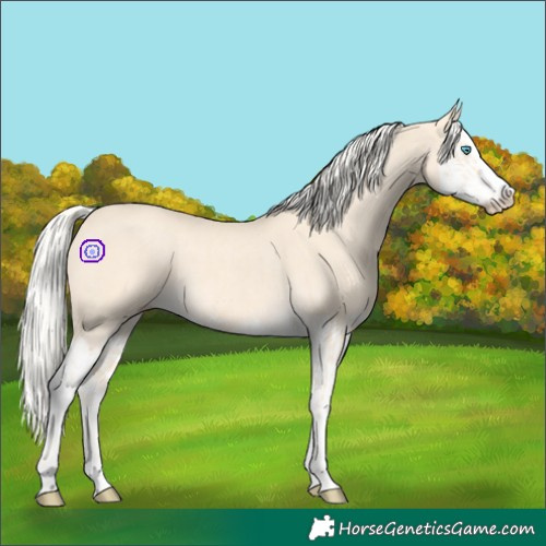 Horse Color:Cremello Splash  and Cremello Splash 