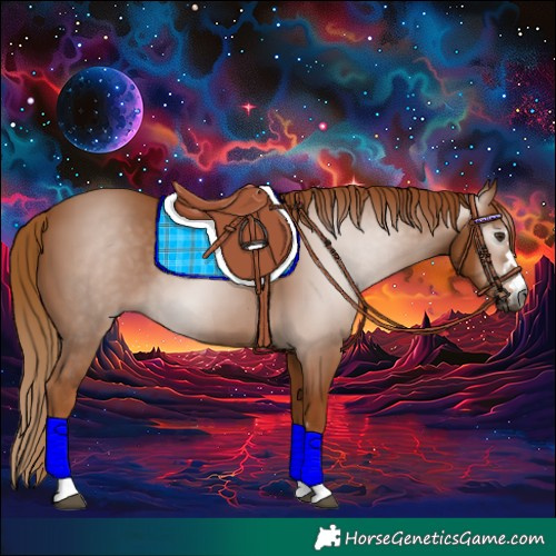 Horse Color:Gray Chestnut 