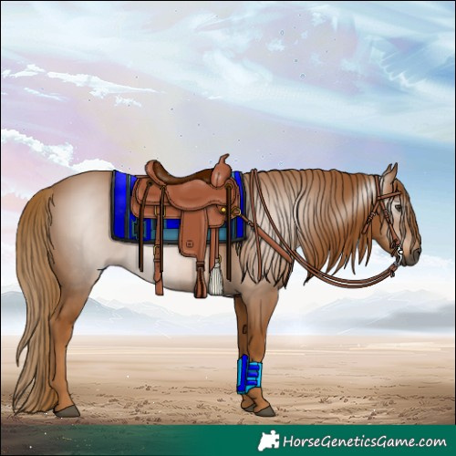 Horse Color:Gray Chestnut 