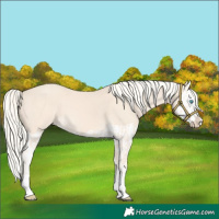Horse Color:Cremello Splash  and Cremello Splash 