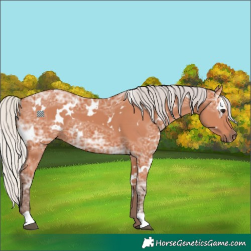 Horse Color:White Spotted Silver Bay Ice 