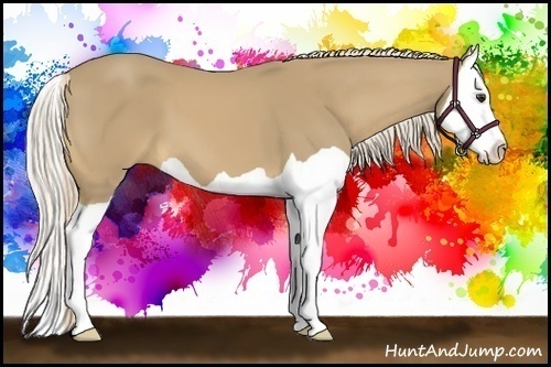Horse Color:Palomino Splash