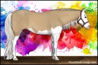 Horse Color:Palomino Splash 