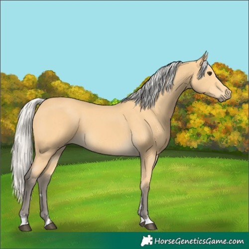 Horse Color:Silver Buckskin