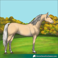 Horse Color:Silver Buckskin
