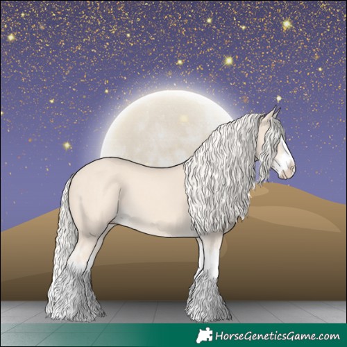Horse Color:Cremello Splash  and Cremello Splash 