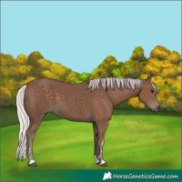Horse Color:Silver Black