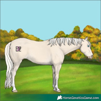 Horse Color:Cremello Splash and Cremello