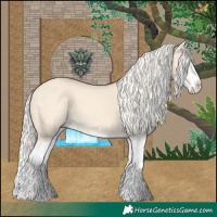 Horse Color:Cremello Splash  and Cremello Splash 