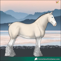 Horse Color:Cremello Splash  and Cremello Splash 
