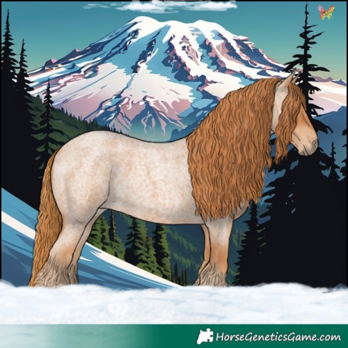 Horse Color:Red Roan 