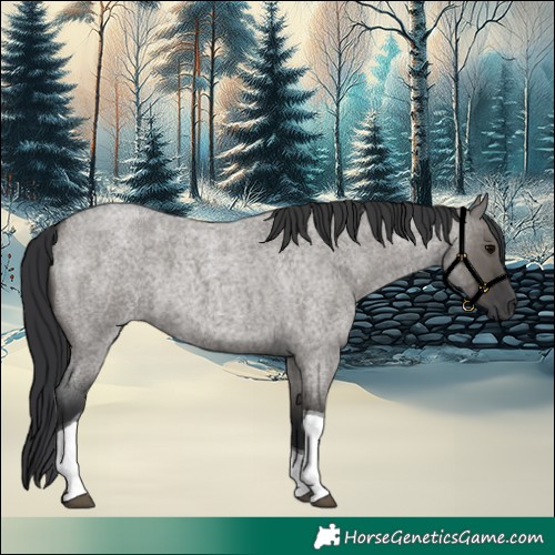 Horse Color:Grullo Roan Tobiano 
