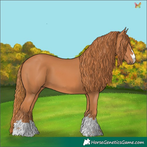 Horse Color:Chestnut 