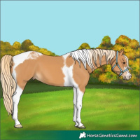 Horse Color:Chestnut Tobiano 