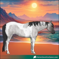 Horse Color:Grullo Roan Tobiano 