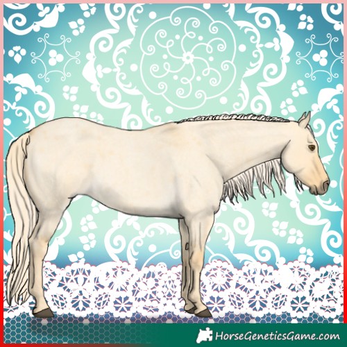 Horse Color:Palomino Roan Dun 