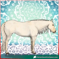 Horse Color:Palomino Roan Dun