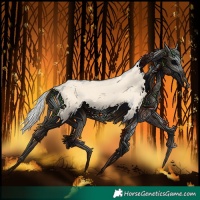 Horse Color:Cremello Splash and Cremello Splash