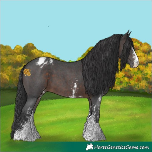 Horse Color:Brown Mushroom Sabino Appaloosa 