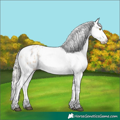Horse Color:Silver Bay Roan Dun Appaloosa Rabicano 