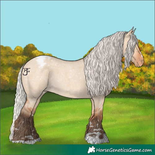 Horse Color:Silver Bay Roan Dun Appaloosa Rabicano