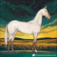 Horse Color:Silver Bay Roan Dun Snowflake Varnish Rabicano 